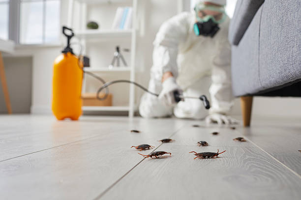 Commercial Kitchen Cockroach Control in Wadesboro